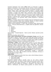 Vadovo vaidmuo personalo valdyme 2 puslapis