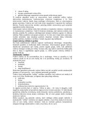 Vadovo vaidmuo personalo valdyme 7 puslapis