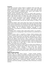 Vadovo vaidmuo personalo valdyme 8 puslapis