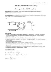 Feromagnetiko histerezės kilpa ir permagnetinimo nuostoliai