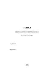 Feromagnetinės hizterizės kilpa