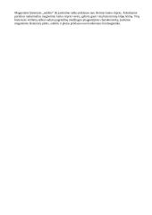 Feromagnetinės hizterizės kilpa 9 puslapis