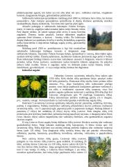 Flora ir augalija 2 puslapis