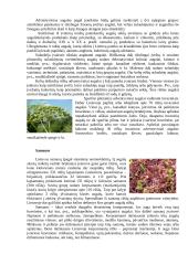 Flora ir augalija 4 puslapis
