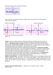 Impulsų formavimas tiesinėmis grandinėmis 3 puslapis