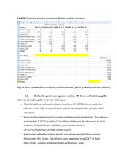 Kompiuterinių sistemų modeliavimas 6 puslapis