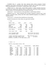 Kompiuterio vidinės atminties tyrimas 7 puslapis