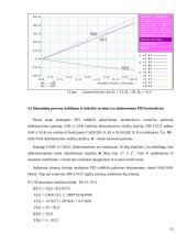 Kompiuterių prakseologija 13 puslapis