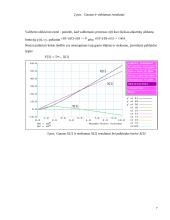 Kompiuterių prakseologija 7 puslapis