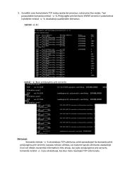 11 kompiuterių tinklų darbų 4 puslapis