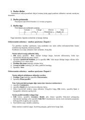 Mikrojuostelinės linijos kuriamo lauko modeliavimas 2 puslapis