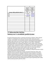 Pajamų, kaštų ir pelno sąveika 11 puslapis