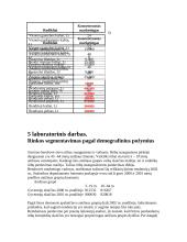 Pajamų, kaštų ir pelno sąveika 5 puslapis