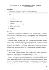 Mikroelektronika 8 puslapis