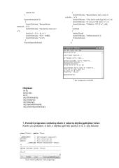 Objektinis programavimas su ,,Builderio“ programa 10 puslapis