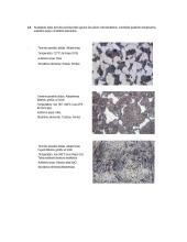 Plieno kritinių temperatūrų nustatymas grūdinimo būdu 3 puslapis