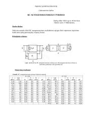 RC autogeneratoriaus susižadinimo sąlygų tyrimas
