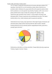 Realaus tinklo monitoringo rezultatų analizė 7 puslapis