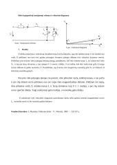 Ritės su plieno šerdimi parametrų tyrimo ataskaita 3 puslapis