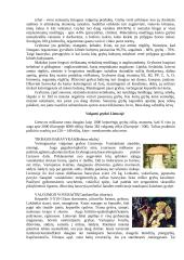 Grybai. Valgomieji grybai Lietuvoje 3 puslapis