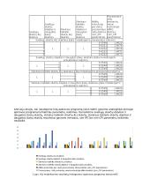 Superskaliariosios sandaros procesorius 2 puslapis