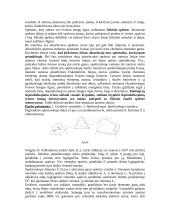 Šviesos bangos ilgio matavimas spektroskopu 3 puslapis