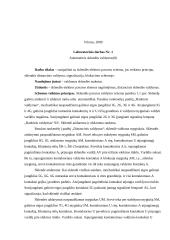 Techninių sistemų valdymas 2 puslapis