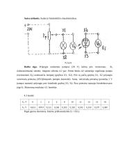 Techninių sistemų valdymas 13 puslapis