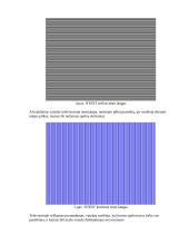 Televizijos imtuvų tyrimas 4 puslapis