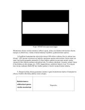 Televizijos imtuvų tyrimas 7 puslapis