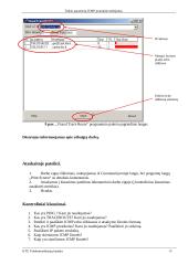 ICMP protokolo veikimas LAN bei Internet tinkluose 13 puslapis