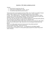 UML kalbos naudojimo pavyzdys 1 puslapis
