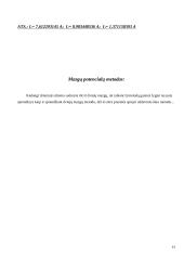 Vidinės varžos 12 puslapis