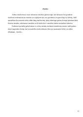 Vidinės varžos 13 puslapis