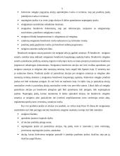 Akcinės bendrovės pagrindiniai bruožai, steigimas, akcininkai, valdymas, kapitalas, pelnas ir finansai, reorganizavimas, privalumai ir trūkumai 5 puslapis