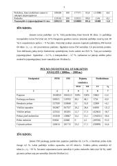 Vertikali ir horizontali balanso analizės 3 puslapis