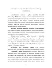 Apskaita įmonėje 3 puslapis