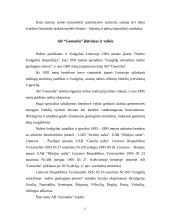 Apskaita įmonėje 5 puslapis