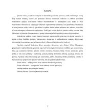 Apskaita ir pelno ataskaita 2 puslapis