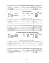 Apskaita ir pelno ataskaita 14 puslapis