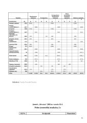 Apskaitos pagrindų modulio individualus darbas 13 puslapis