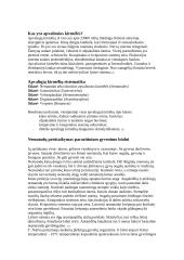 Apvaliųjų kirmėlių prisitaikymas parazitiniam gyvenimui 2 puslapis