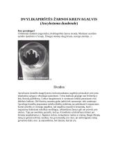 Apvaliųjų kirmėlių prisitaikymas parazitiniam gyvenimui 5 puslapis