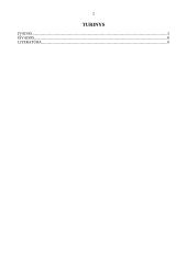 Aš vadovas - analizė ir interpretacijos 2 puslapis