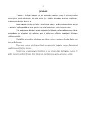 Aš vadovas - analizė ir interpretacijos 3 puslapis