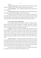 Aš vadovas - analizė ir interpretacijos 6 puslapis