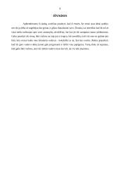 Aš vadovas - analizė ir interpretacijos 8 puslapis