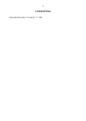 Aš vadovas - analizė ir interpretacijos 9 puslapis