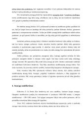 Atsargų valdymas: žemės ūkis AB "Agrowill Group" 7 puslapis