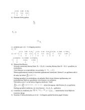 Atsitiktiniai procesai matricose 5 puslapis